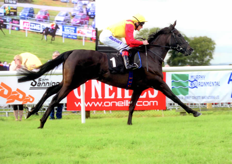 Boom to Bust Bellewstown 17th August